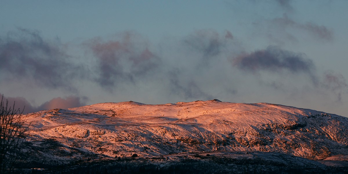 Foto Christine S (Liten)