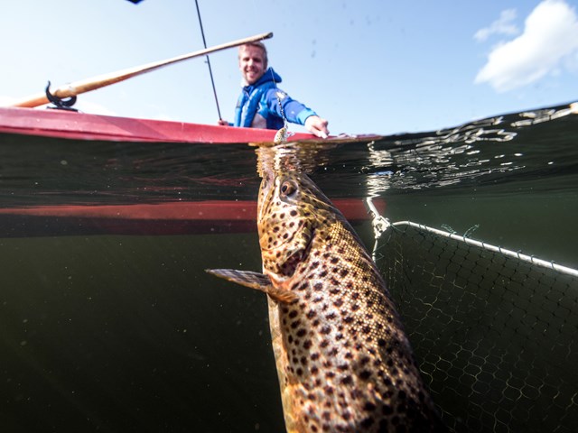 Foto: Yngve Ask. Fisking. Vasetvannet. Båtutleie. Valdres.
