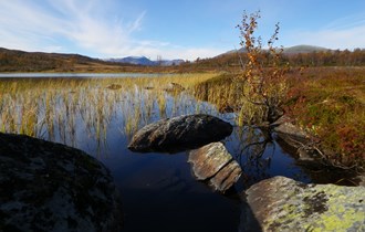 Vann og fjell