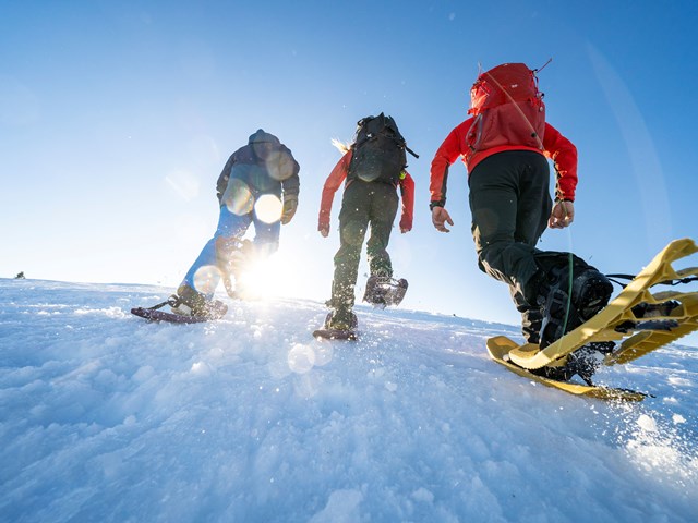 Foto: Yngve Ask. Truger. Fjelltur. Valdres.