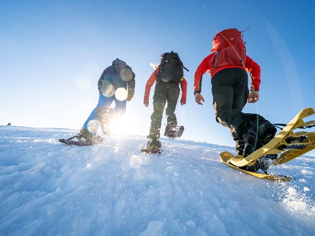 Foto: Yngve Ask. Truger. Fjelltur. Valdres. 