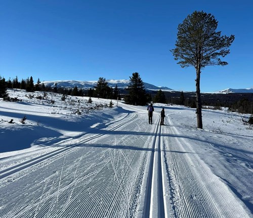 Skitur Blåkors Ferier 2024