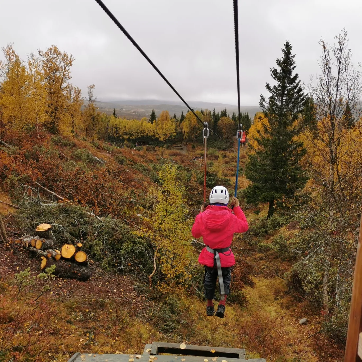 Zipline