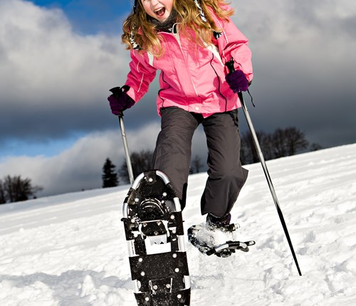 Shutterstock 93013057
