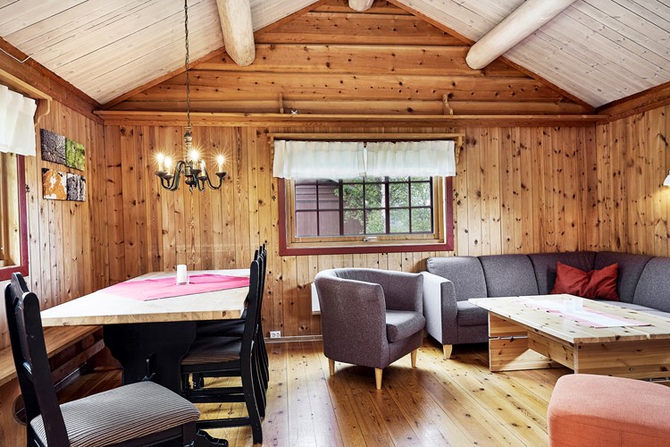 Bendikstogo. Hytte til utleie på Vaset i Valdres. Stue.