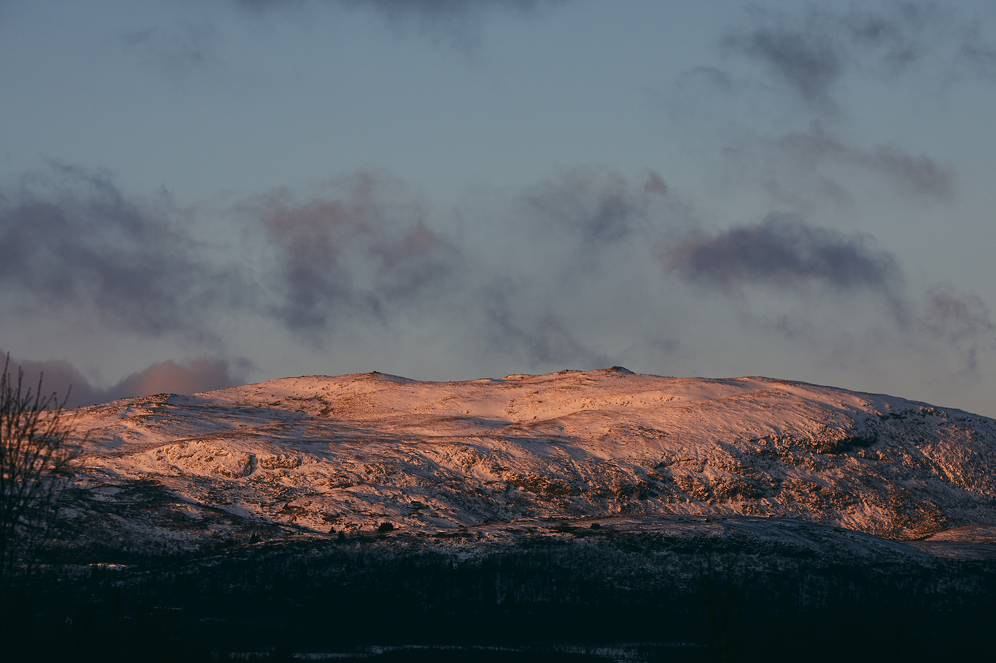 Foto Christine S (Liten)